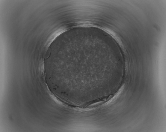 X0000115121289200911101619