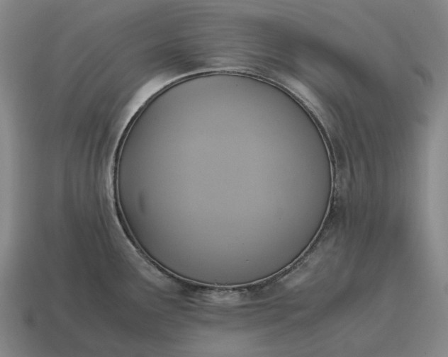 X0000115121291200911101619
