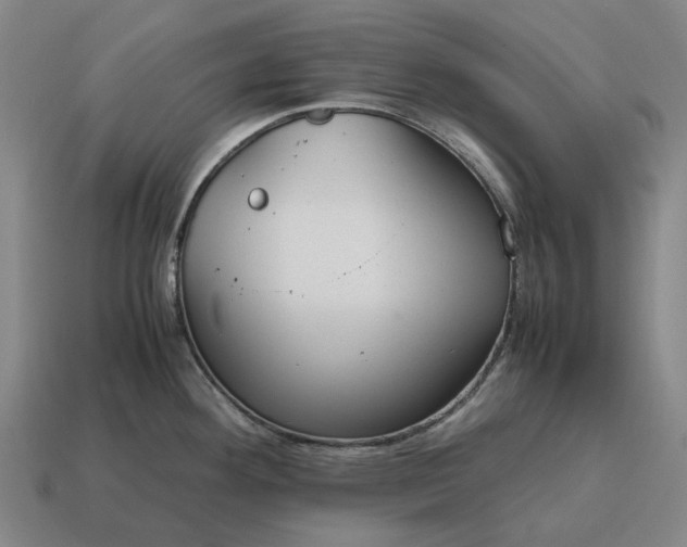 X0000115121292200911101619