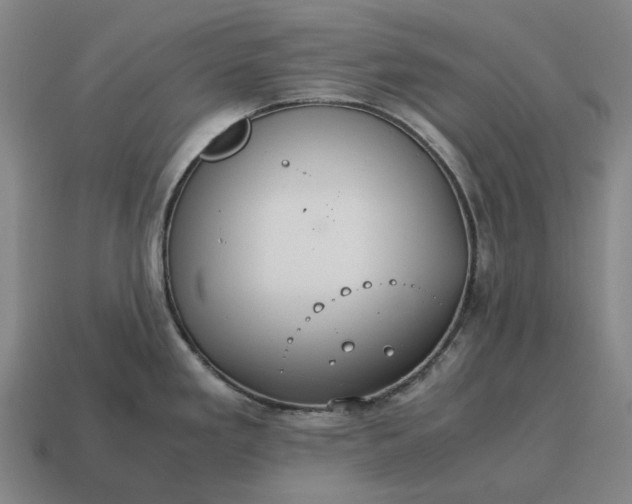 X0000115121293200911101619