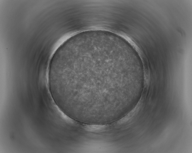 X0000115121294200911101619