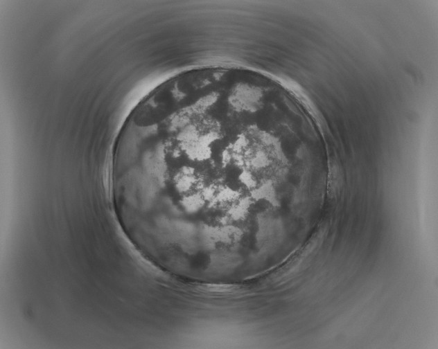 X0000115121295200911101619