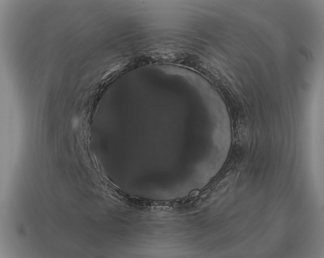 X0000115121297200911101618