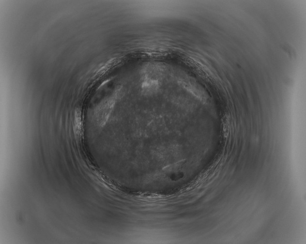 X0000115121298200911101618