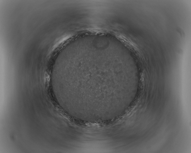 X0000115121302200911101618