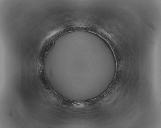 X0000115121303200911101618