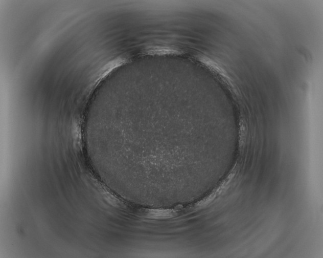 X0000115121305200911101618