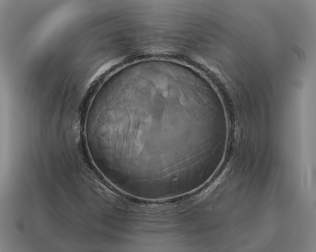 X0000115121306200911101618