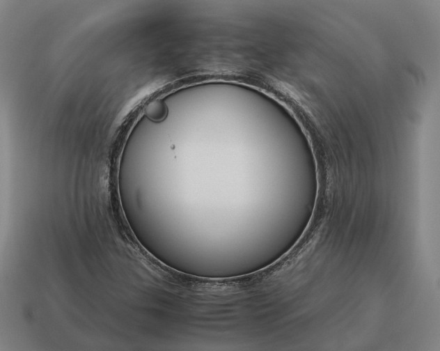 X0000115121307200911101618