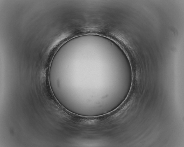 X0000115121309200911101618