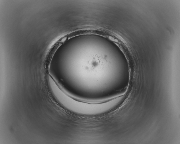 X0000115121310200911101618