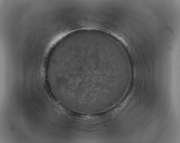 X0000115121311200911101618