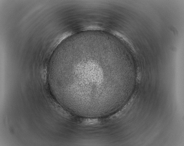 X0000115121313200911101618