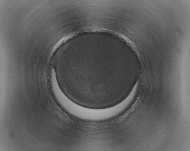 X0000115121314200911101618