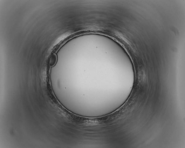 X0000115121315200911101618