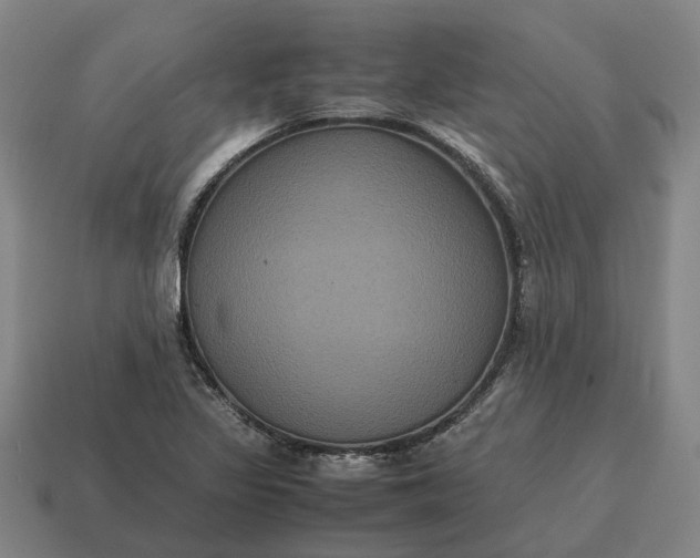 X0000115121317200911101618