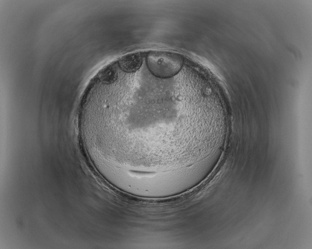 X0000115121318200911101618