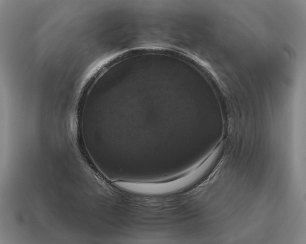 X0000115121319200911101618