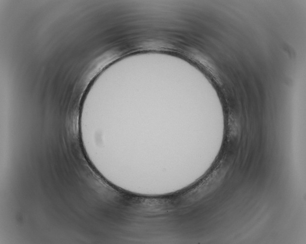 X0000115121322200911101618