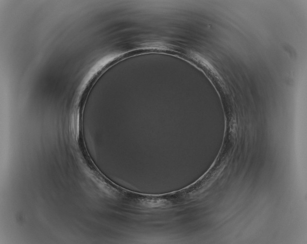 X0000115121323200911101618
