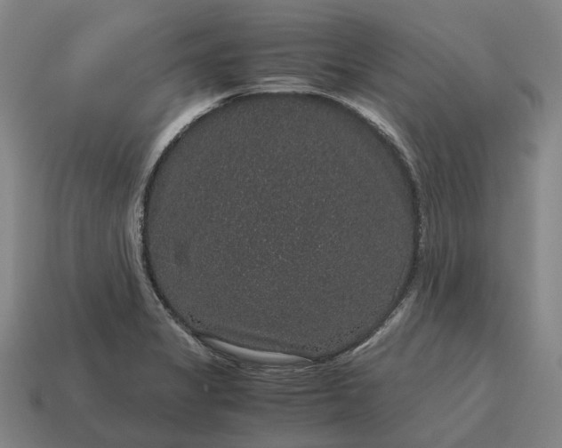 X0000115121325200911101618