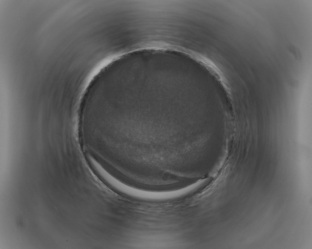 X0000115121326200911101618
