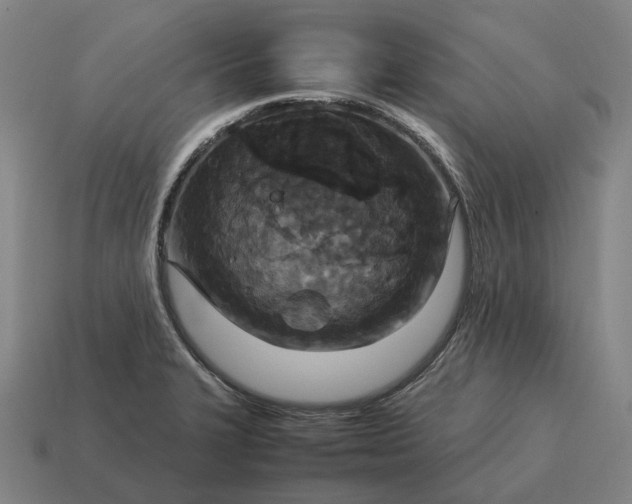 X0000115121327200911101618