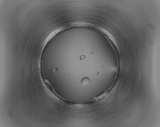 X0000115121330200911101618