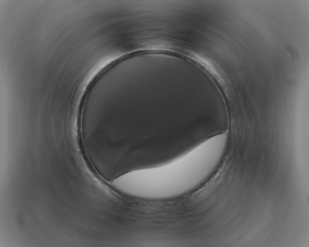X0000115121331200911101618