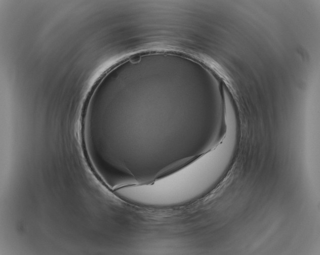 X0000115121334200911101618