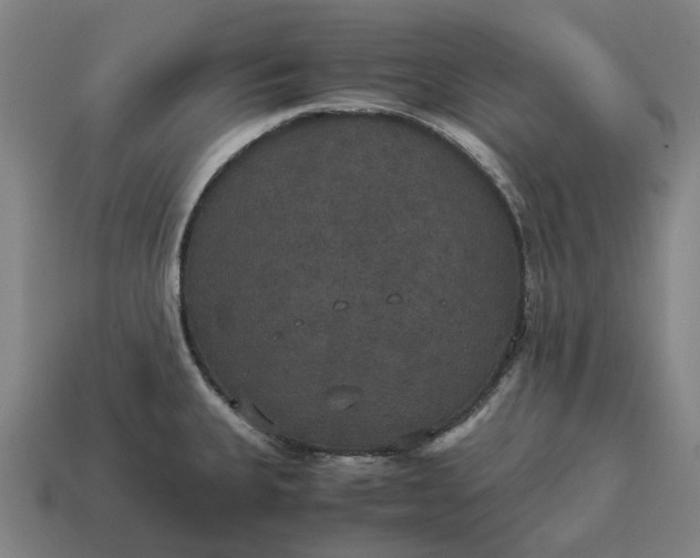 X0000115121335200911101618