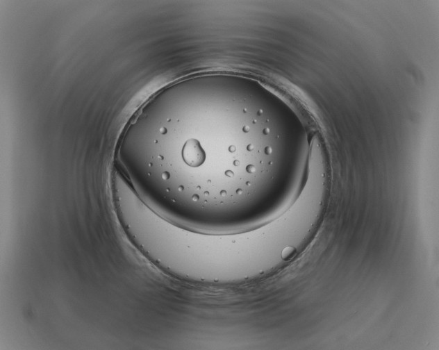 X0000115121338200911101618