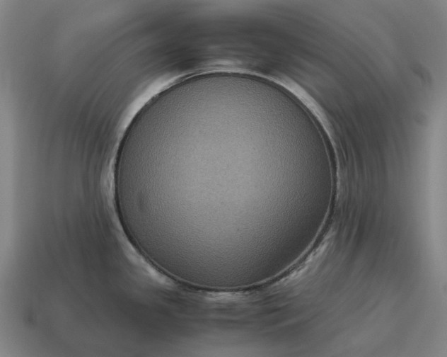 X0000115121341200911101618
