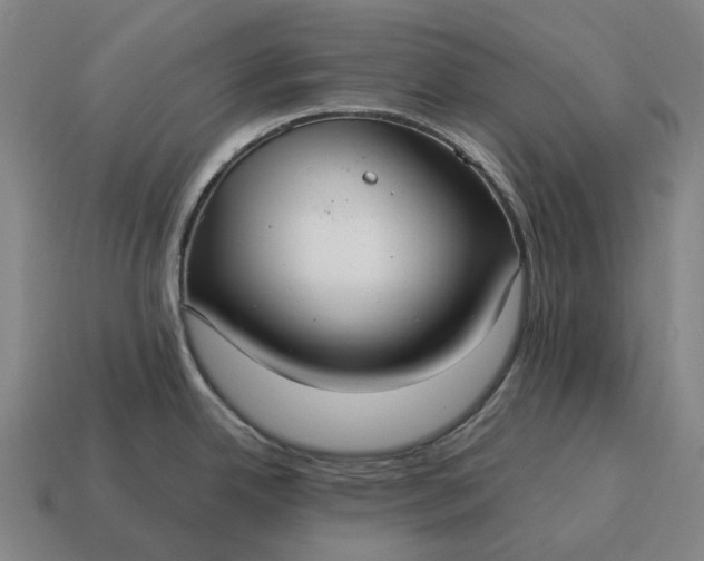 X0000115121342200911101618