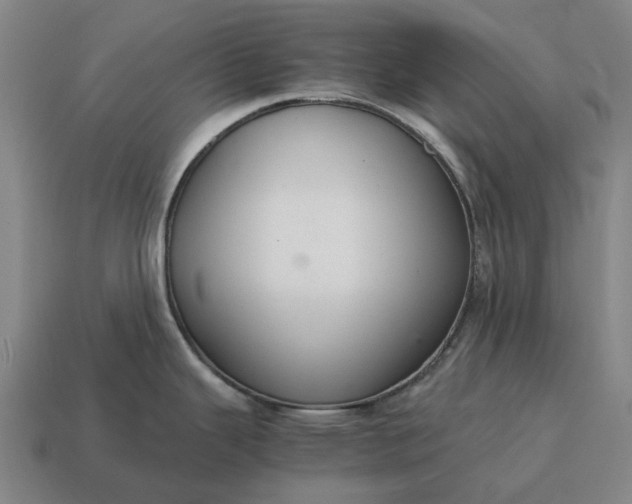 X0000115121343200911101618