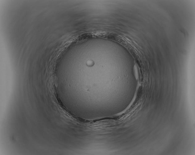 X0000115121345200911101618