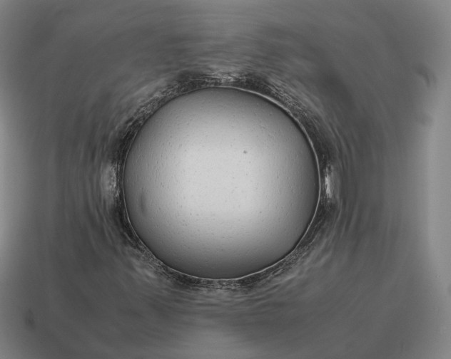 X0000115121347200911101618