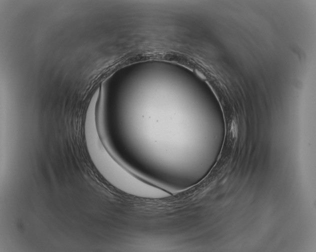 X0000115121348200911101618