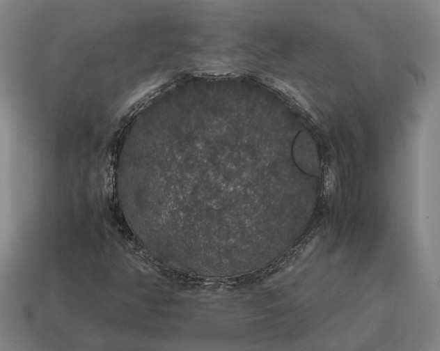 X0000115121350200911101618