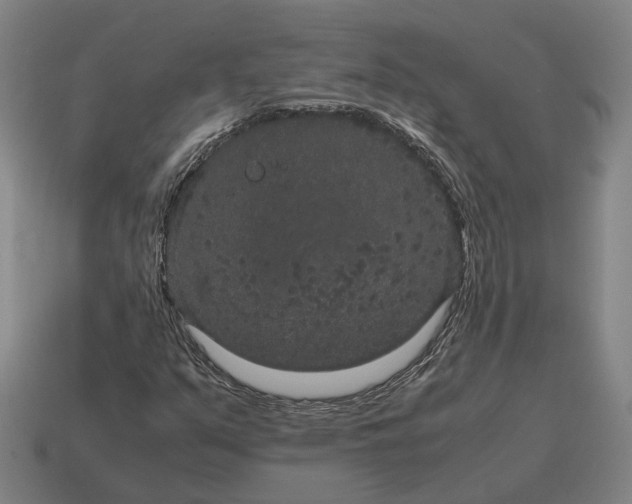 X0000115121351200911101618