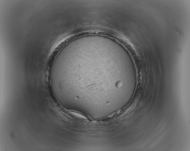 X0000115121352200911101618