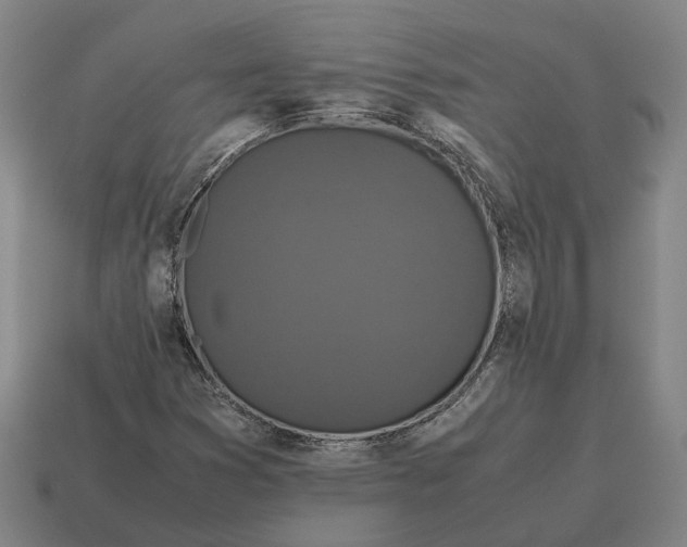 X0000115121353200911101618