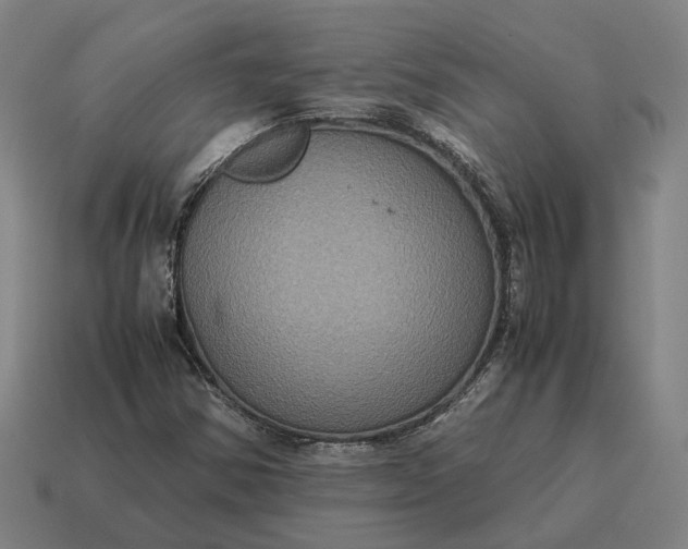 X0000115121354200911101618