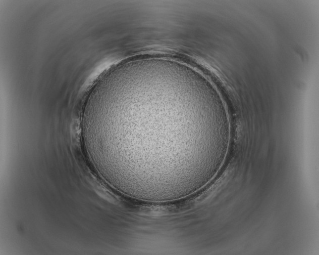 X0000115121355200911101618