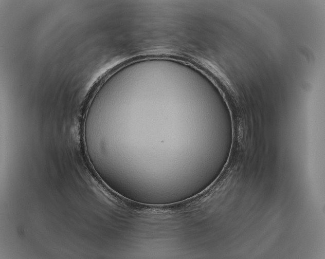X0000115121356200911101618