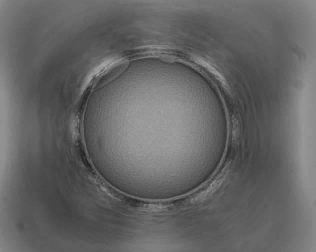 X0000115121357200911101618