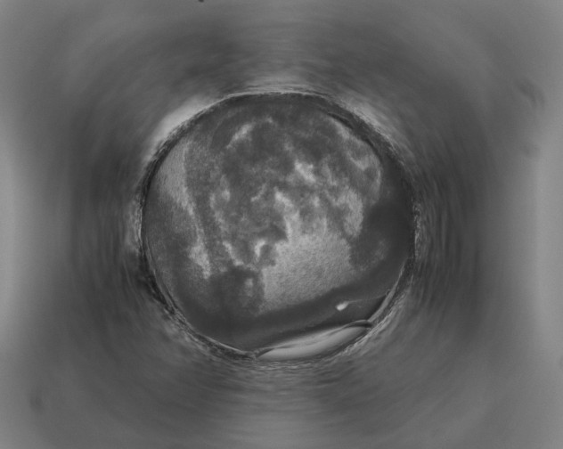 X0000115121358200911101618