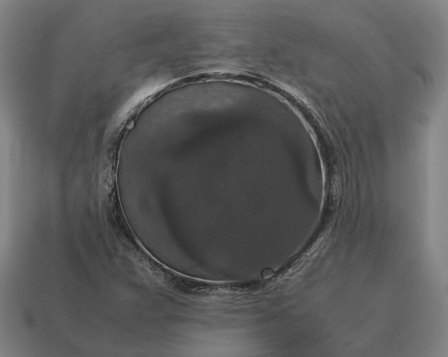 X0000115121359200911101618