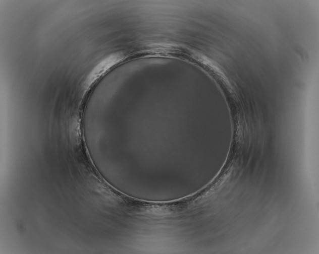 X0000115121362200911101618