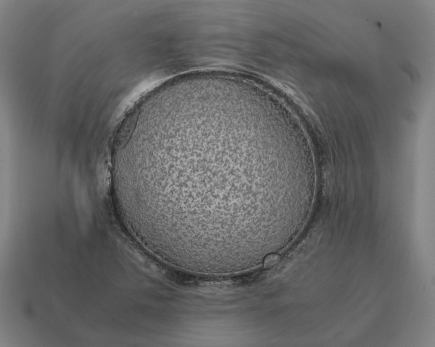 X0000115121363200911101618